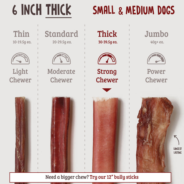 6 Inch Bully Sticks - Thick
