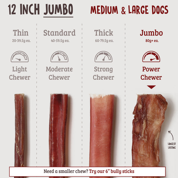 12 Inch Bully Sticks - Jumbo