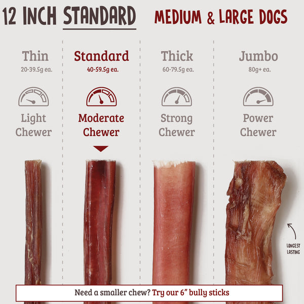 12 Inch Bully Sticks - Standard