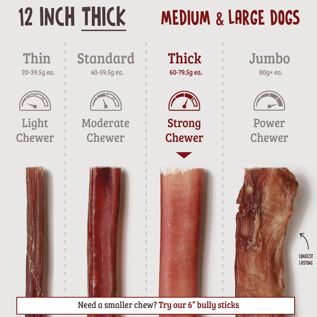12 Inch Bully Sticks - Thick