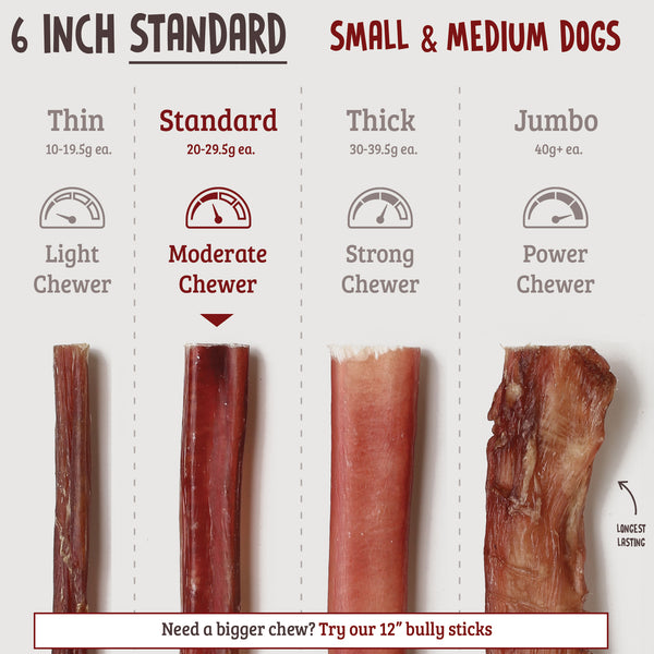 6 Inch Bully Sticks - Standard